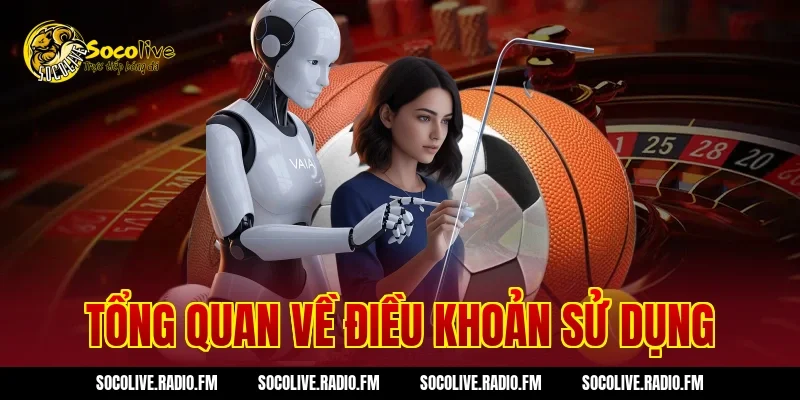 Tổng quan về Điều Khoản Sử Dụng