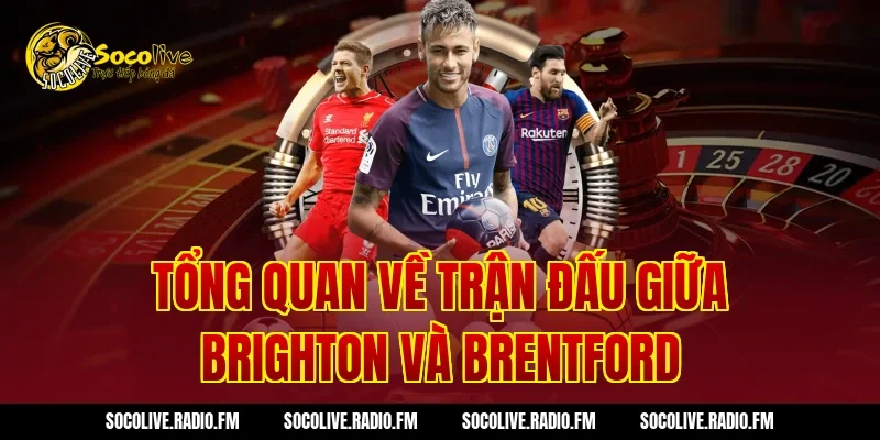 Tổng Quan Về Trận Đấu Giữa Brighton Và Brentford